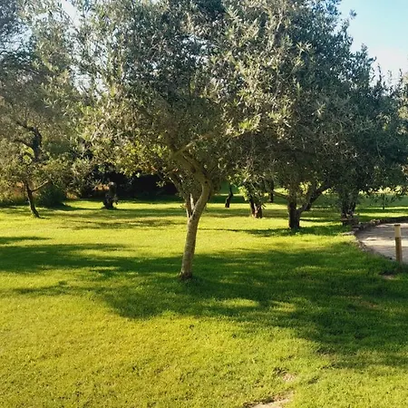 Villa Relax Tra Gli Ulivi Alghero