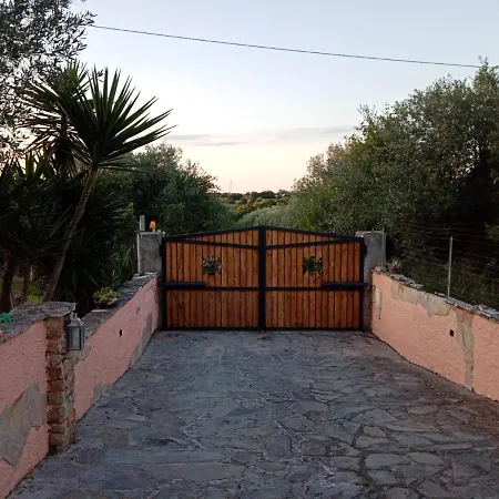 Relax Tra Gli Ulivi *