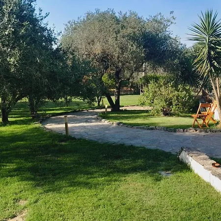 Relax Tra Gli Ulivi Villa *