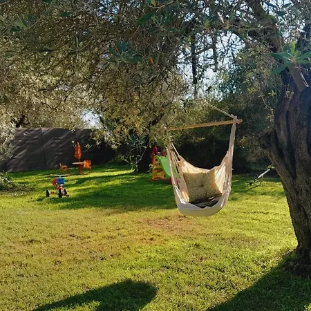 Relax Tra Gli Ulivi * Alghero